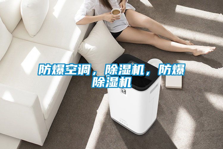 防爆空調(diào)，除濕機，防爆除濕機
