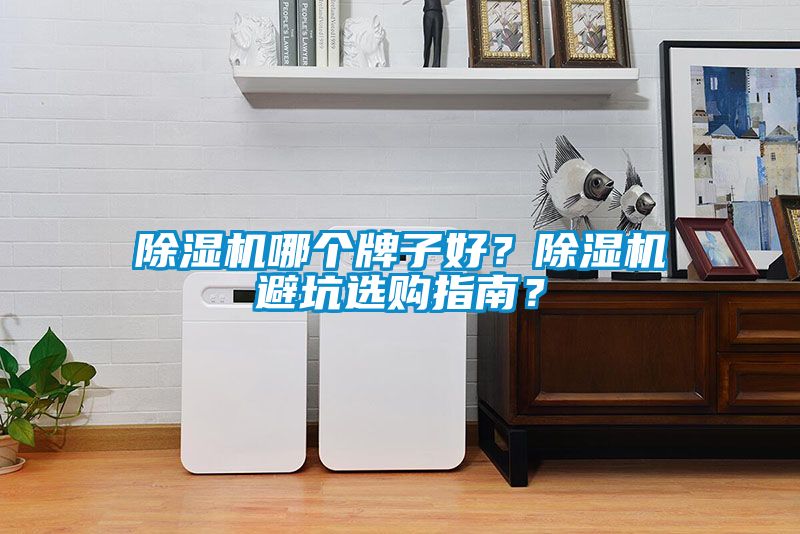 除濕機哪個牌子好？除濕機避坑選購指南？