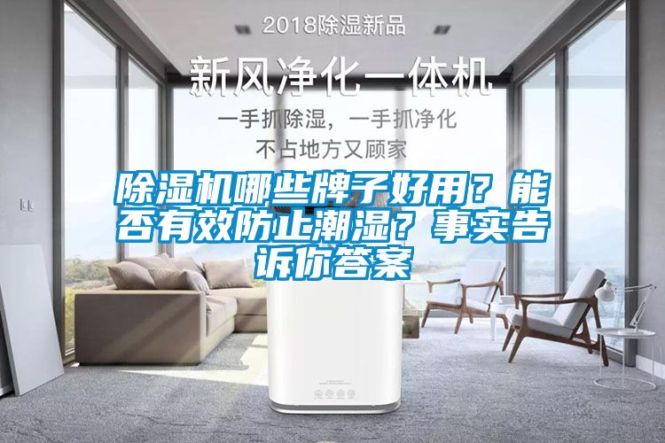 除濕機哪些牌子好用？能否有效防止潮濕？事實告訴你答案