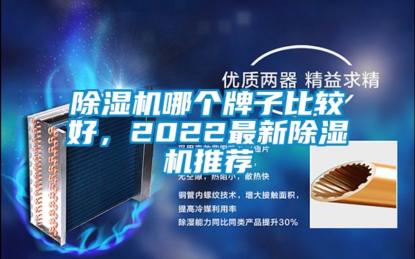 除濕機(jī)哪個牌子比較好，2022最新除濕機(jī)推薦