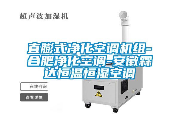 直膨式凈化空調(diào)機組-合肥凈化空調(diào)-安徽霖達(dá)恒溫恒濕空調(diào)
