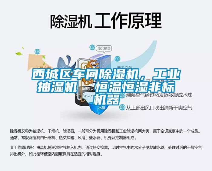 西城區車間除濕機，工業抽濕機  恒溫恒濕非標機器