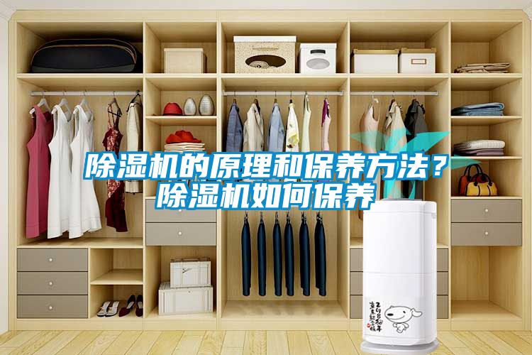 除濕機的原理和保養方法？除濕機如何保養