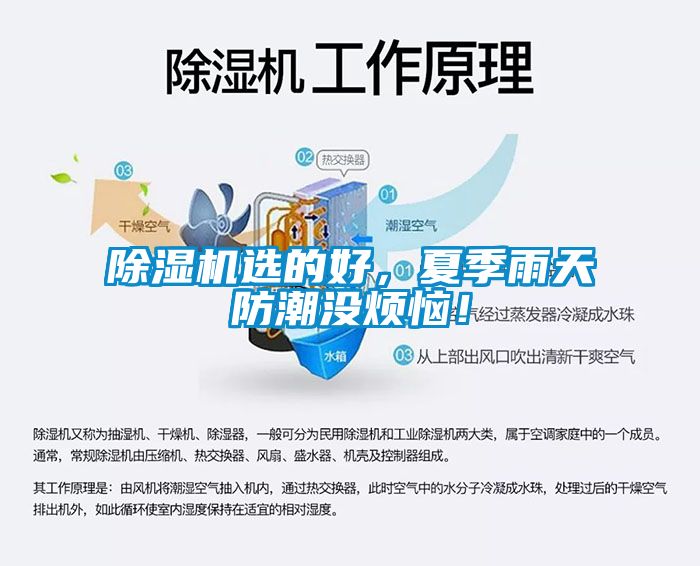 除濕機選的好，夏季雨天防潮沒煩惱！