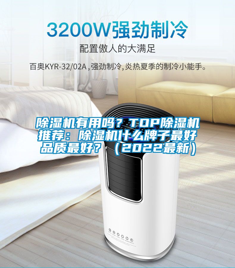除濕機有用嗎？TOP除濕機推薦：除濕機什么牌子最好品質最好？（2022最新）