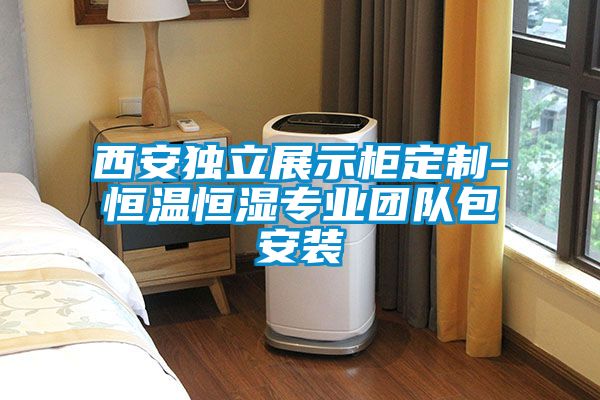 西安獨(dú)立展示柜定制-恒溫恒濕專業(yè)團(tuán)隊包安裝