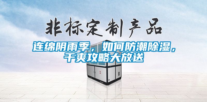連綿陰雨季，如何防潮除濕，干爽攻略大放送