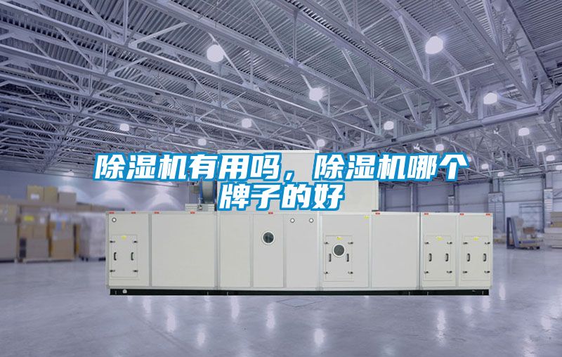 除濕機有用嗎，除濕機哪個牌子的好