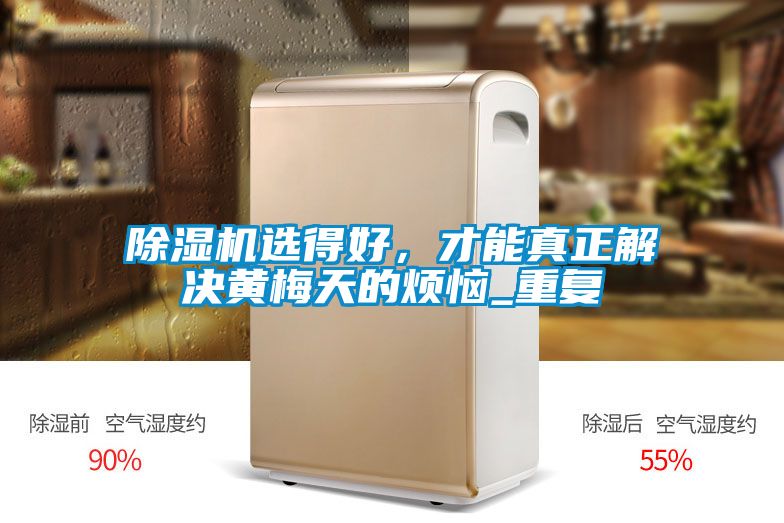 除濕機選得好，才能真正解決黃梅天的煩惱_重復