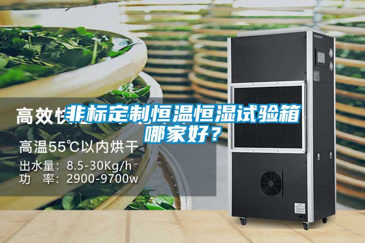 非標定制恒溫恒濕試驗箱哪家好？