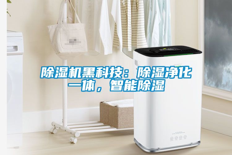 除濕機(jī)黑科技：除濕凈化一體，智能除濕