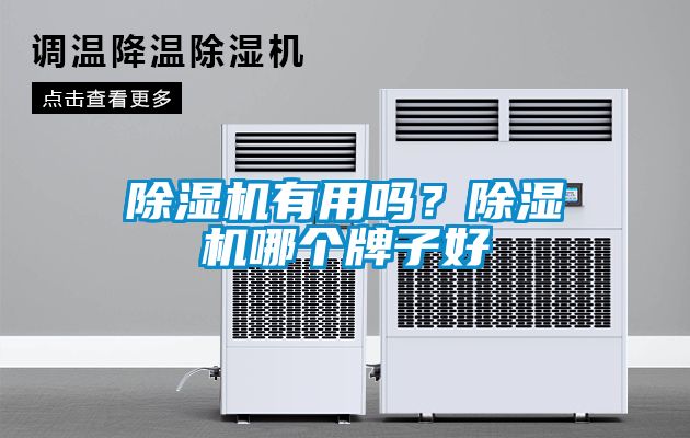 除濕機有用嗎？除濕機哪個牌子好