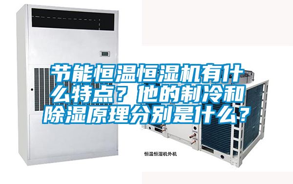 節(jié)能恒溫恒濕機有什么特點？他的制冷和除濕原理分別是什么？