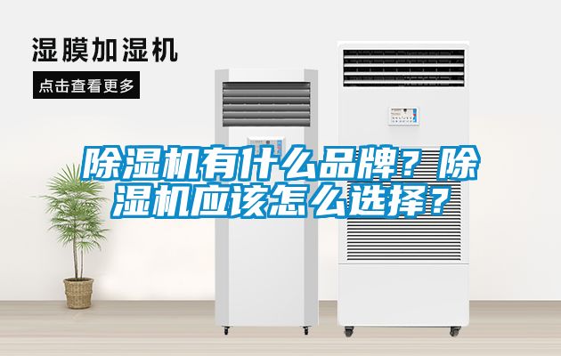 除濕機有什么品牌？除濕機應(yīng)該怎么選擇？