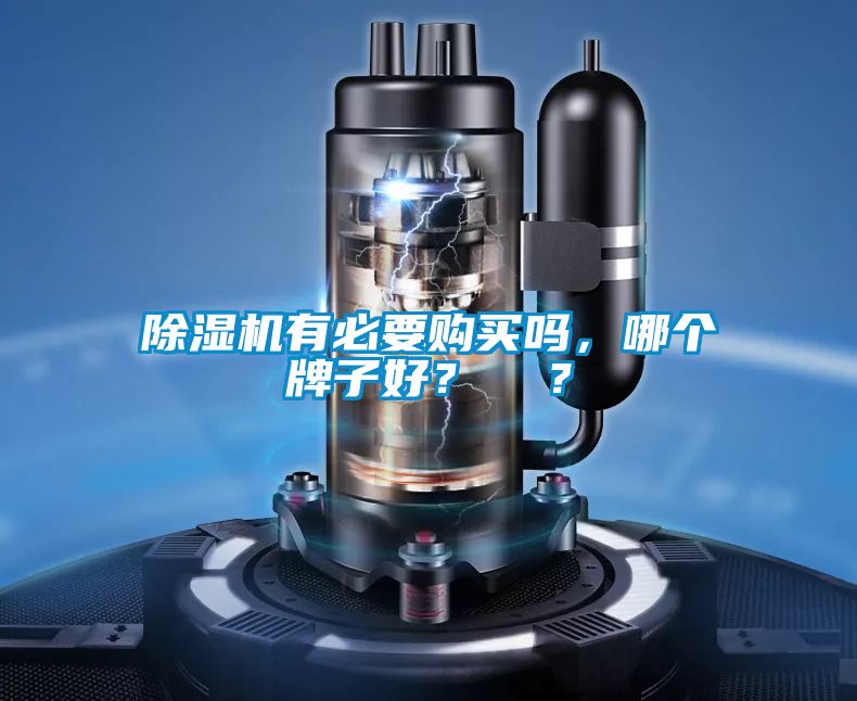 除濕機(jī)有必要購買嗎，哪個牌子好？  ？