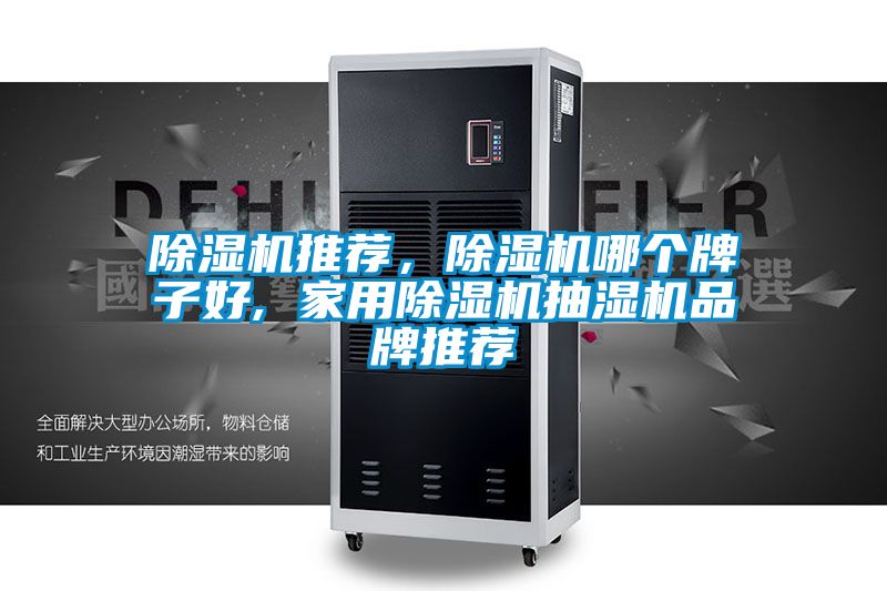 除濕機推薦，除濕機哪個牌子好, 家用除濕機抽濕機品牌推薦