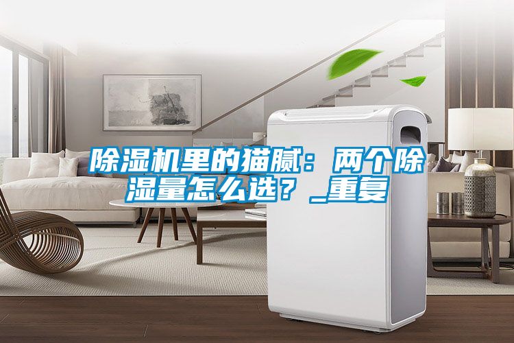 除濕機里的貓膩：兩個除濕量怎么選？_重復(fù)