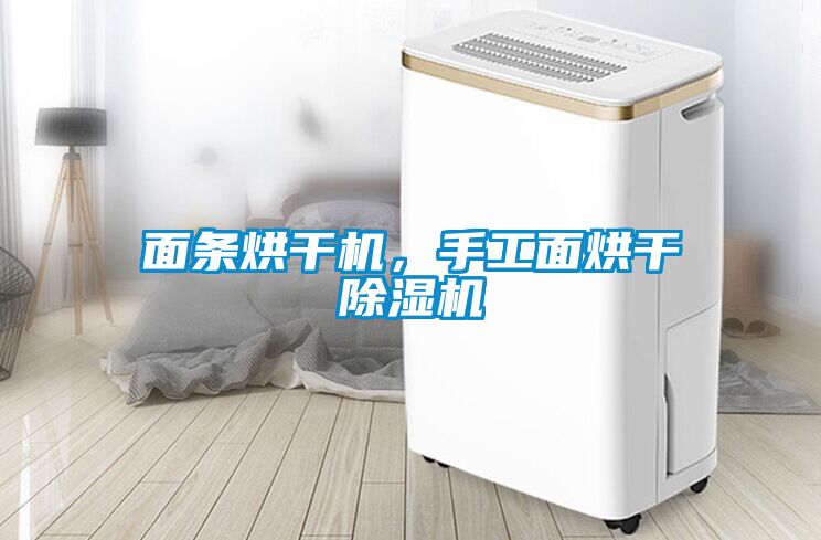 面條烘干機，手工面烘干除濕機