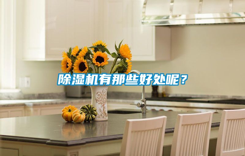 除濕機有那些好處呢？