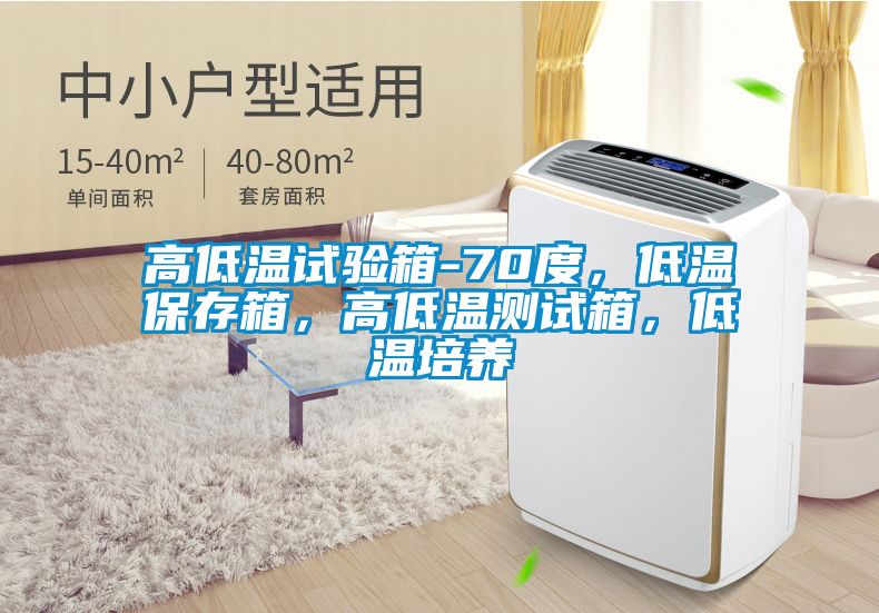 高低溫試驗(yàn)箱-70度，低溫保存箱，高低溫測(cè)試箱，低溫培養(yǎng)