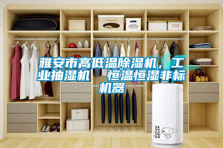 雅安市高低溫除濕機，工業抽濕機  恒溫恒濕非標機器