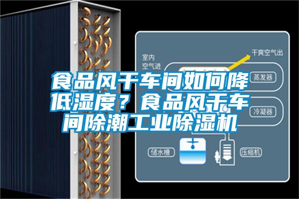 食品風干車間如何降低濕度？食品風干車間除潮工業除濕機