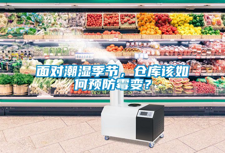 面對潮濕季節(jié)，倉庫該如何預防霉變？