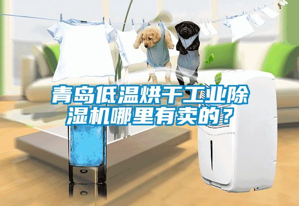 青島低溫烘干工業(yè)除濕機哪里有賣的？