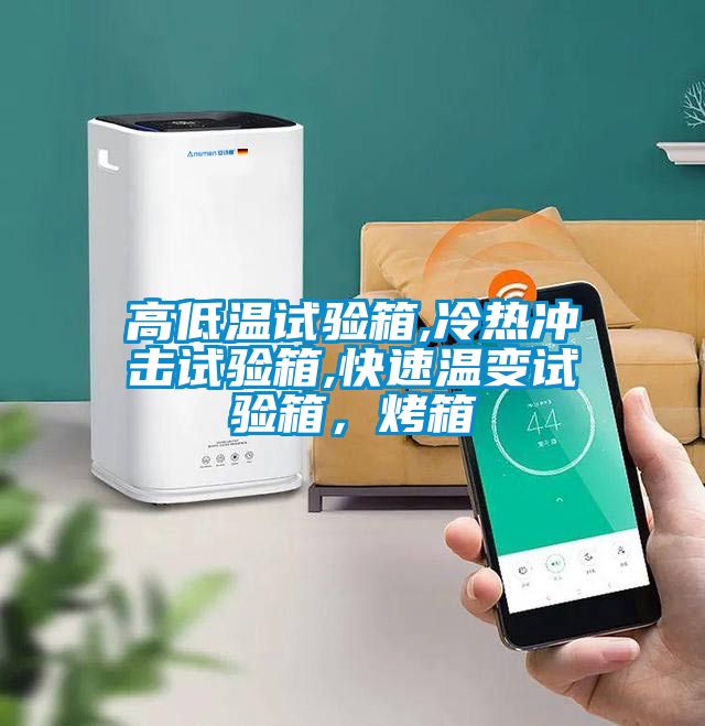 高低溫試驗(yàn)箱,冷熱沖擊試驗(yàn)箱,快速溫變?cè)囼?yàn)箱，烤箱