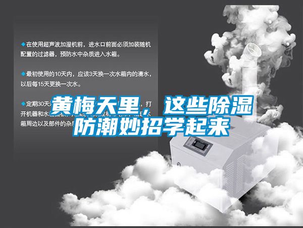 黃梅天里，這些除濕防潮妙招學(xué)起來