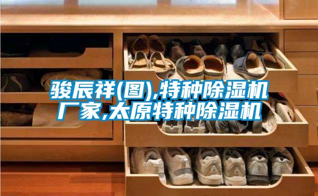 駿辰祥(圖),特種除濕機(jī)廠(chǎng)家,太原特種除濕機(jī)