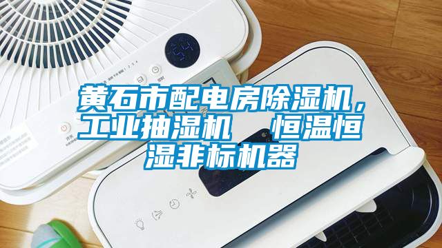 黃石市配電房除濕機(jī)，工業(yè)抽濕機(jī)  恒溫恒濕非標(biāo)機(jī)器